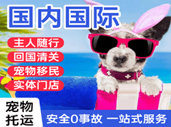 杭州萧山航空快运国际宠物托运 【国